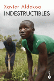 Cover Image: INDESTRUCTIBLES