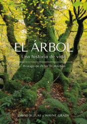 Cover Image: EL ÁRBOL