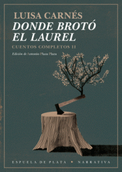 Imagen de cubierta: DONDE BROTÓ EL LAUREL
