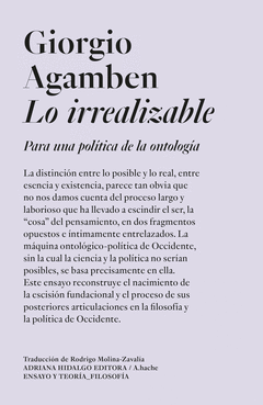 Cover Image: LO IRREALIZABLE