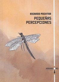 Imagen de cubierta: PEQUEÑAS PERCEPCIONES