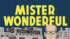 Imagen de cubierta: MISTER WONDERFUL